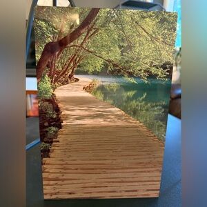 Original Photography Wooden Pathway Scenic Metal Art Print